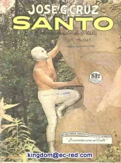 Cover of Desenmascarar al Santo