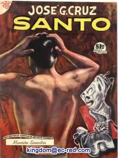 Cover of Mansiòn Siniestra