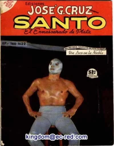 Cover of Un Loco en la Niebla