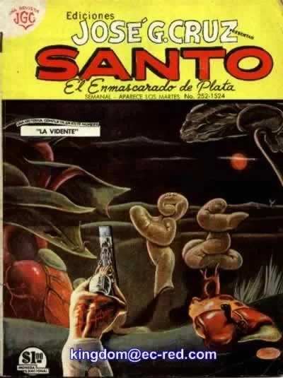 Cover of La Vidente