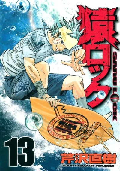 Cover of Vol. 13