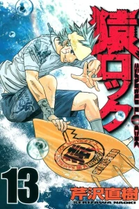 Vol. 13