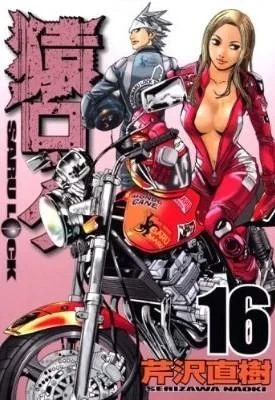 Cover of Vol. 16