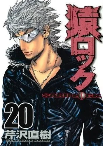 Cover of Vol. 20