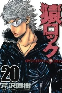 Vol. 20