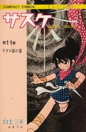Cover of Vol. 11