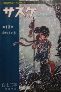 Vol. 13