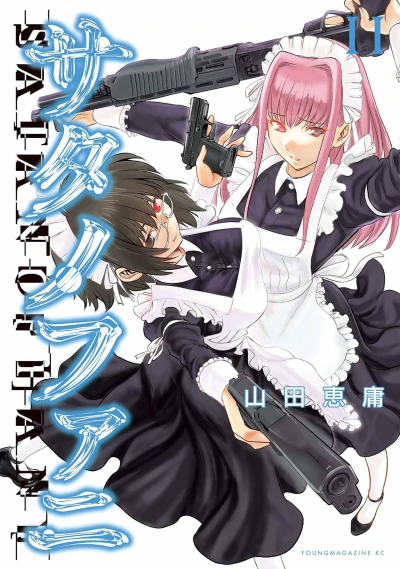 Cover of Vol. 11