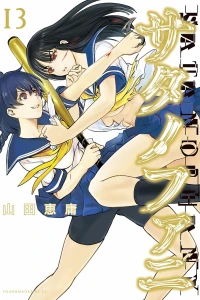 Vol. 13