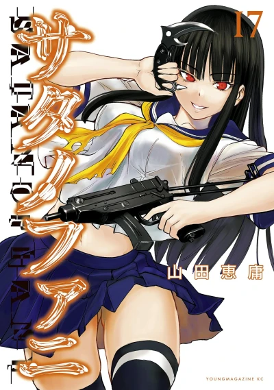 Cover of Vol. 17