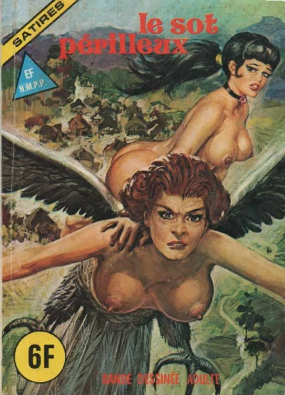 Cover of Le sot périlleux