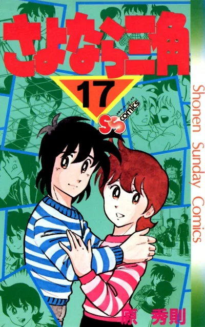 Cover of Vol. 17