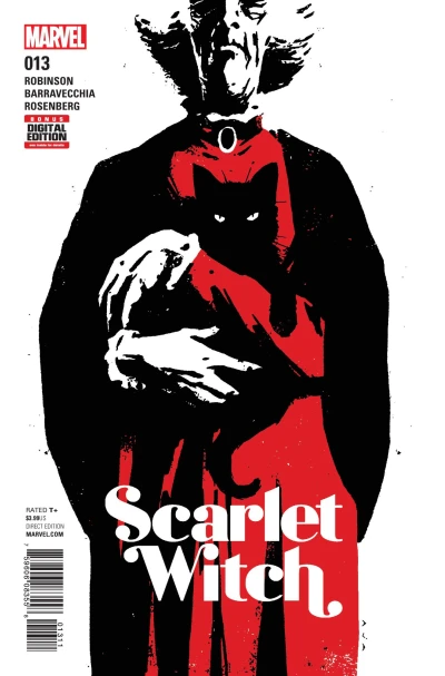 Cover of Issue #13