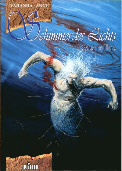 Cover of Sturmflut