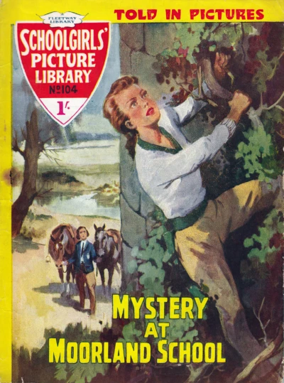 Cover of Mystery At Moorland School