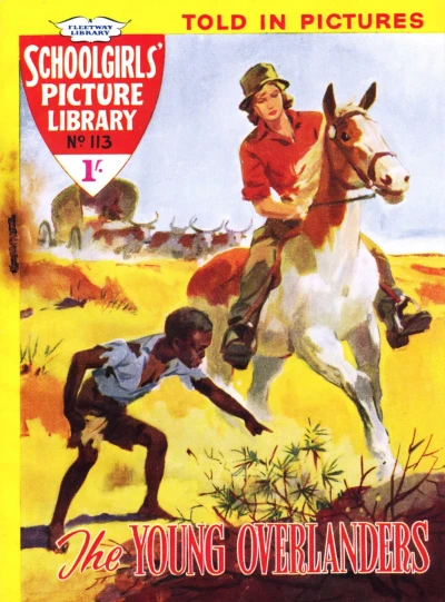 Cover of Issue #113