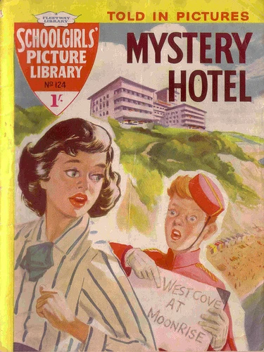 Cover of Mystery Hotel