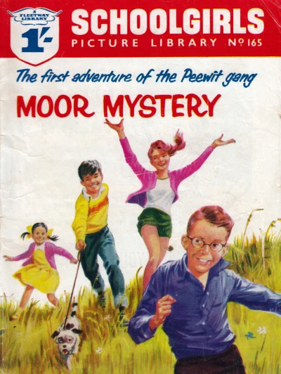 Cover of Moor Mystery