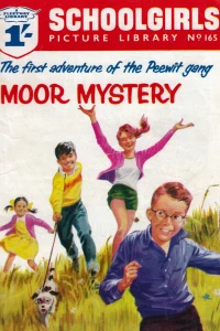 Moor Mystery