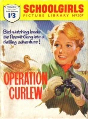 Cover of Operation Curlew