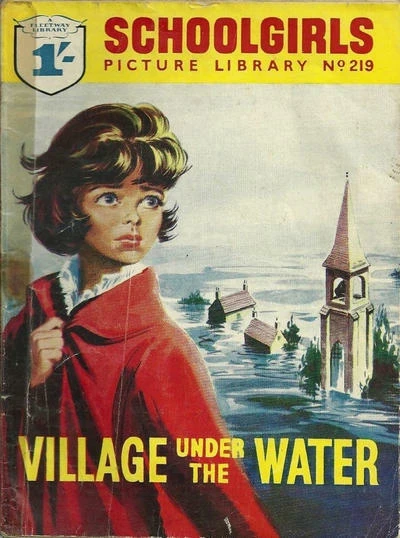 Cover of Issue #219