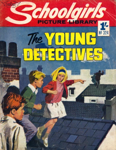 Cover of Issue #324
