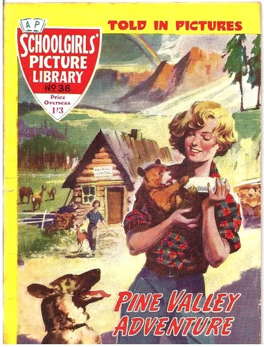 Cover of Pine Valley Adventure
