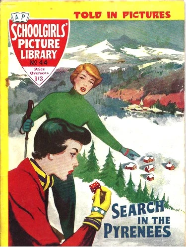 Cover of Search in the Pyrenees