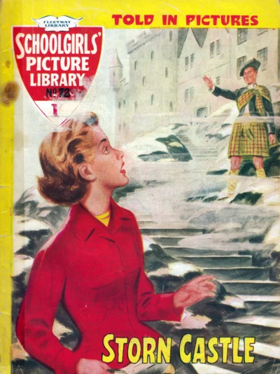 Cover of Storn Castle