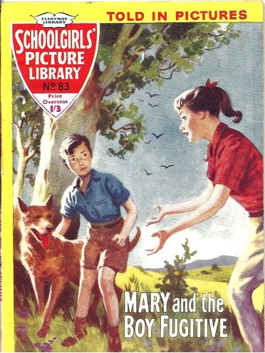 Cover of Mary and the Boy Fugitive