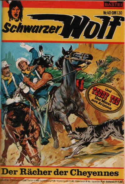 Cover of Dwer Racher der Cheyenne