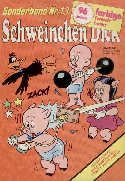 Cover of Issue #13