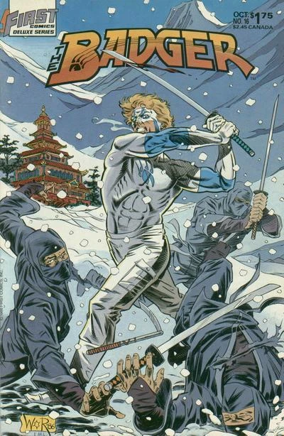 Cover of Search for the Snowman