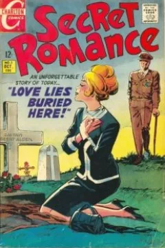Secret Romance