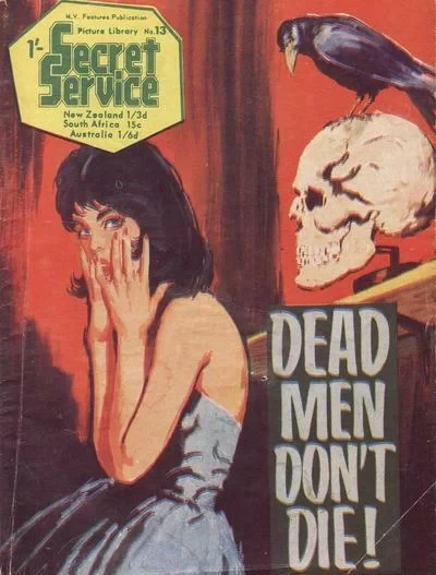Cover of Issue #13