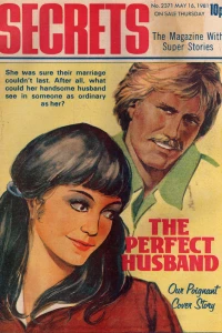 The Perfect Husband