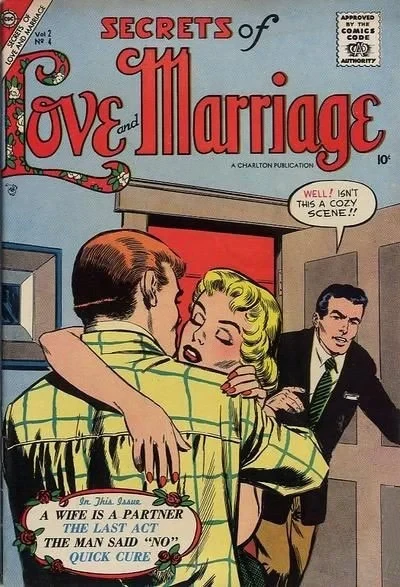 Cover of A Wife Is A Partner