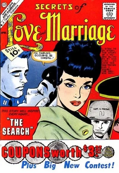 Cover of The Search
