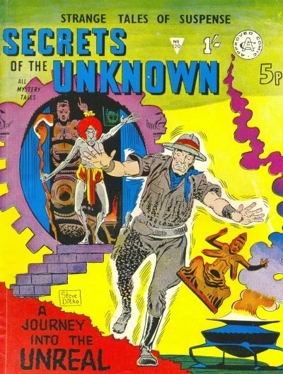 Cover of A Journey into the Unreal