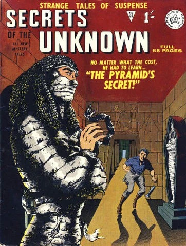 Cover of The Pyramid's Secret