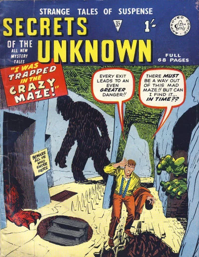 Cover of I Was Trapped in the Crazy Maze!