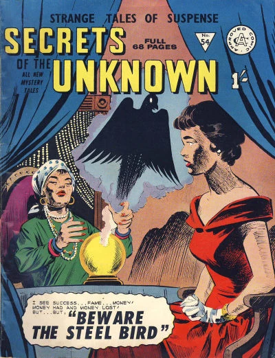 Cover of Beware the Steel Bird