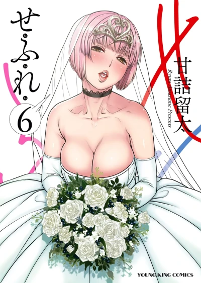 Cover of Vol. 6
