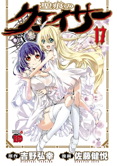 Cover of Volume 17