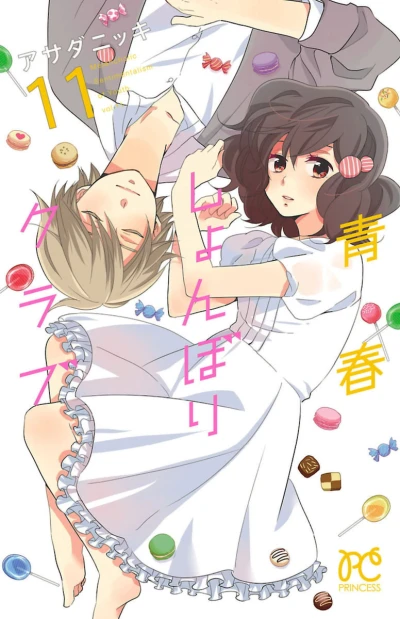 Cover of Vol. 11