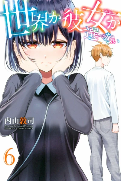 Cover of Vol. 6