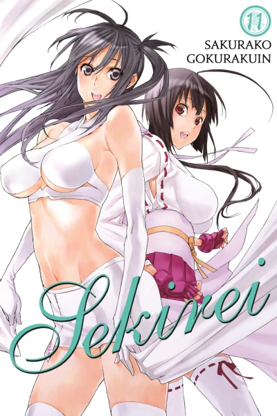 Cover of Vol. 11