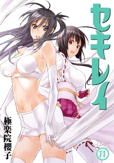 Cover of Vol. 11
