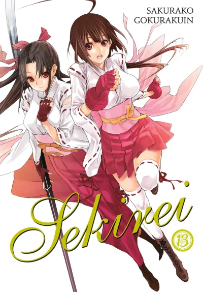 Cover of Vol. 13