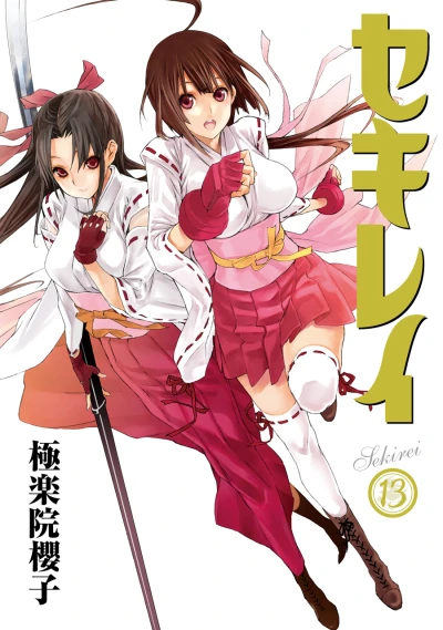 Cover of Vol. 13